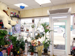 Воздушная завеса Тепломаш КЭВ-П3131А без нагрева